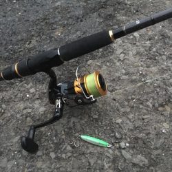 ジグサビキでアジとサバ